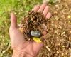 Naturcoaching in der Pfalz